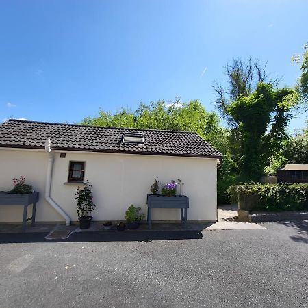Oak Cottage 3 Km From Rock Of Cashel Cashel  Exteriér fotografie