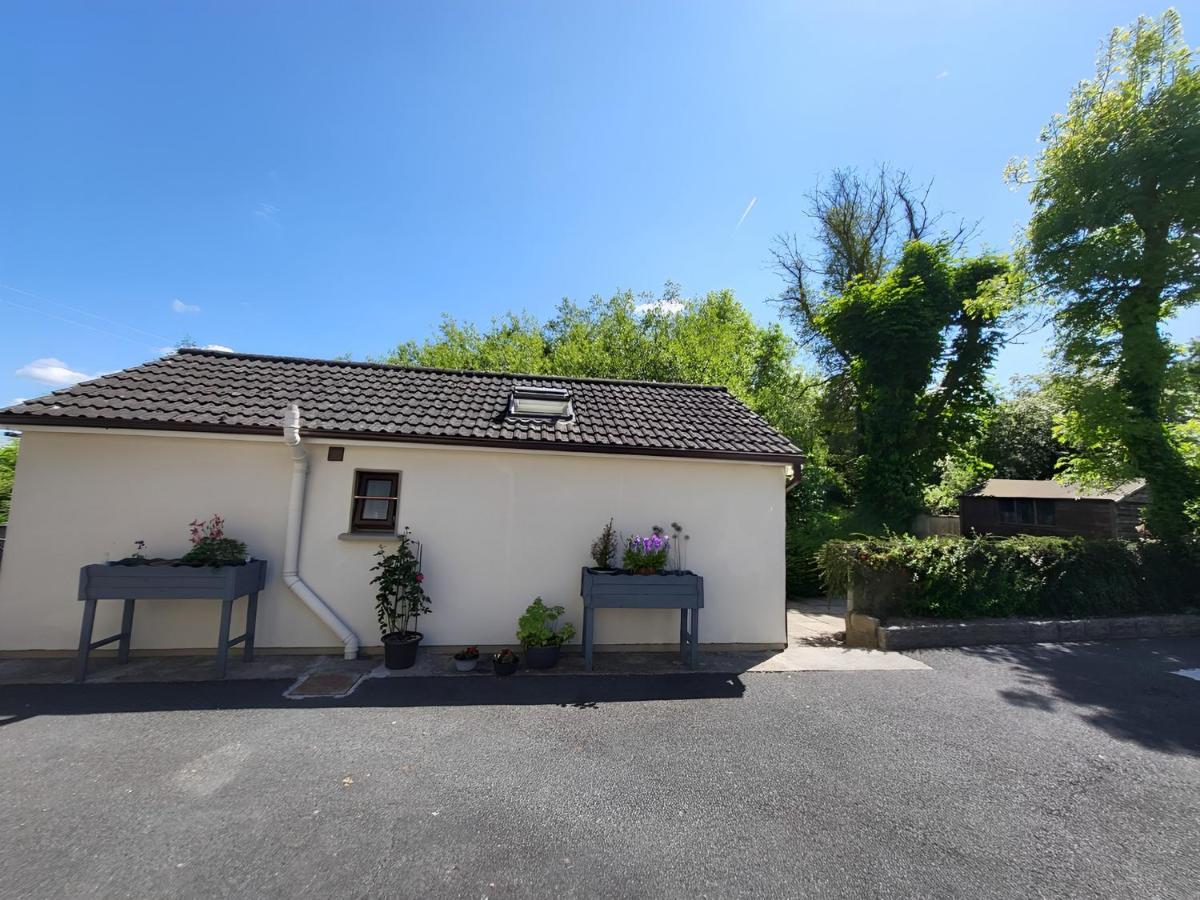 Oak Cottage 3 Km From Rock Of Cashel Cashel  Exteriér fotografie